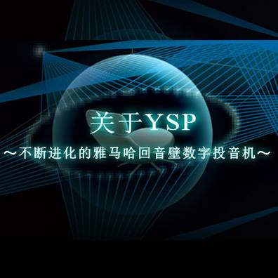 不断进化的yl6809永利回音壁数字投音机