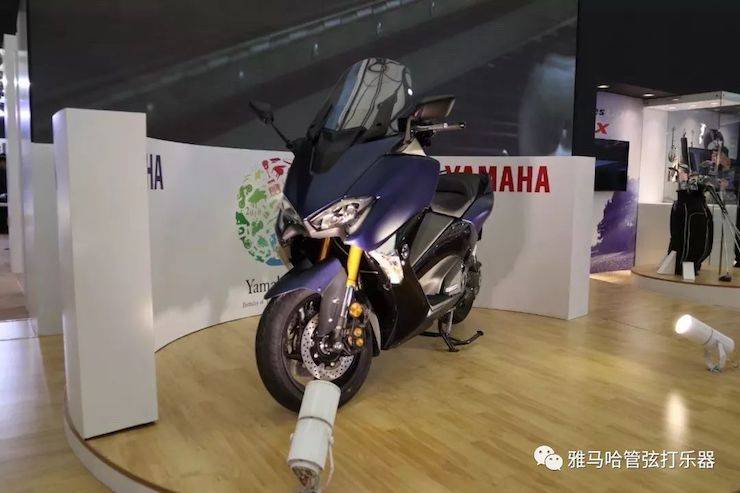 yl6809永利乐器