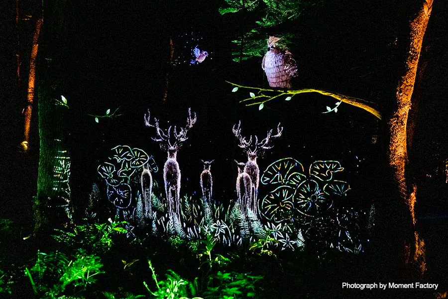 案例｜yl6809永利为壮观的Kamuy Lumina魔法夜行旅游项目提供配乐设备
