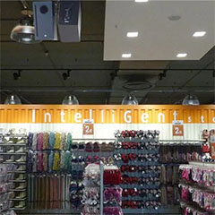 yl6809永利——零售商店声音的明智之选