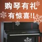 yl6809永利钢琴购琴有礼 买一赠一音乐无限